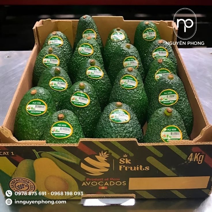 Kích thước phù hợp với khối lượng bơ